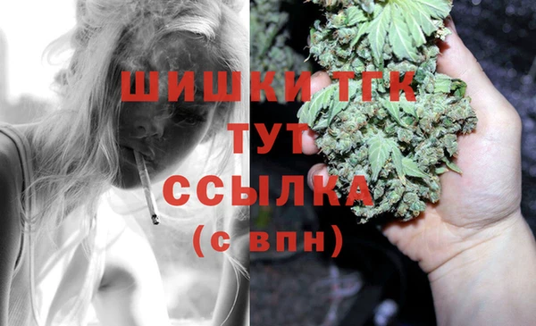 бошки Лабытнанги
