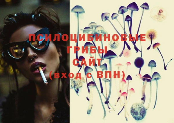 бошки Лабытнанги