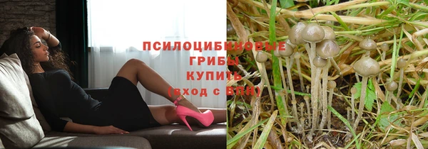 марки lsd Лагань